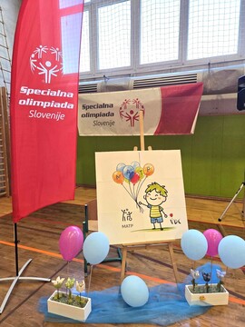 vdc postojna _ igre (1)